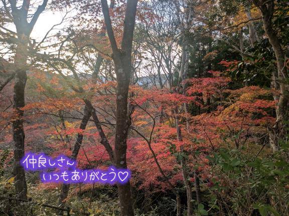 あんなちゃん　写メ画像