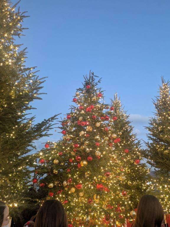 あんなちゃん　写メ画像