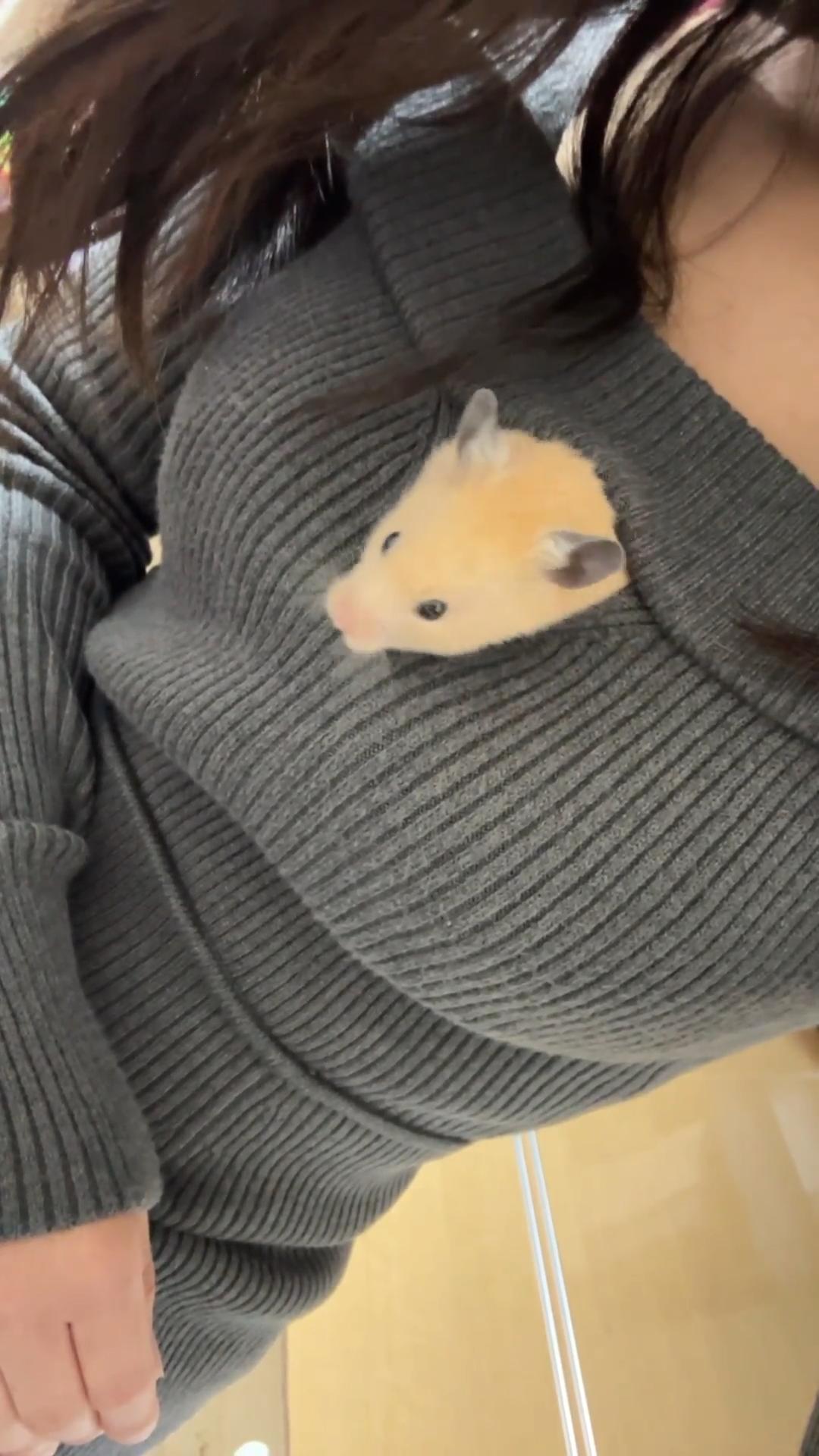 動画サムネイル2
